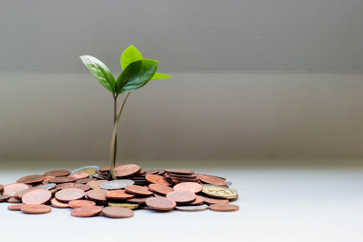 Veb sayt investisiyası və SEO-nun biznes ROI-si